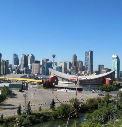 A large city with many buildings and trees